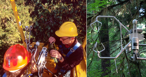 
В проекте Wind River Canopy Crane использовалась новейшая техника (фото с сайта depts.washington.edu).