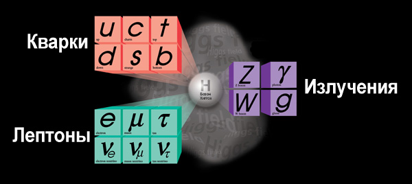 Стандартная модель демонстрирует поразительную симметрию: на звание по-настоящему элементарных частиц материи могут претендовать двенадцать квантов вещества — шесть кварков и шесть лептонов — и четыре кванта, переносящих взаимодействия. Иллюстрация: Fermilab/US DoE.