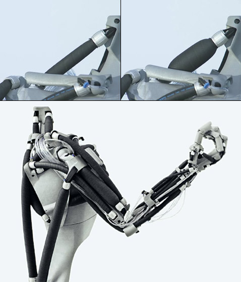 Вид сокращающейся мышцы робота вызывает биологические ассоциации (кадры и фото Festo).