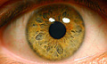 В Японии создана искусственная сетчатка глаза