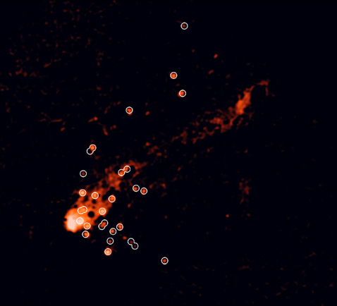 Снимок галактики с её хвостом, сделанный телескопом SOAR; тут показаны только области, соответствующие линиям излучения водорода. Кружочками выделены области интенсивного звёздообразования (фото SOAR/MSU/NOAO/UNC/CNPq-Brazil/M.Sun et al.).