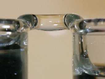 Водяной мостик между двумя стаканами. Фото авторов исследования.