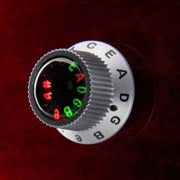 Кнопка, активирующая различные функции системы настройки (фото Gibson).