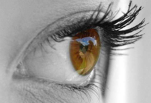 Ученые приближаются к созданию искусственного зрения