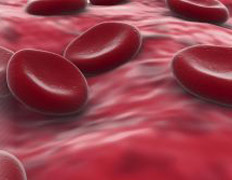 Учёные вплотную подошли к созданию серийного имплантата, который сможет выборочно работать с нужными клетками, плывущими в потоке внутри кровеносных сосудов (иллюстрация CellTraffix).