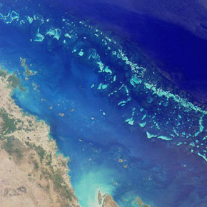 У побережья Австралии обнаружены ранее неизвестные глубоководные кораллы
