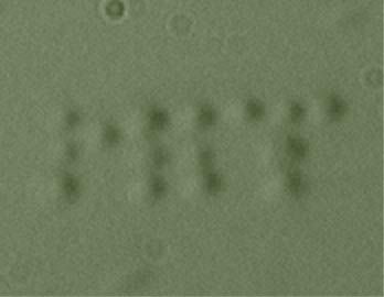 Ученые научились составлять из бактерий буквы