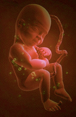 Эмбрионы от трех родителей