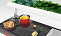 Aion – концептуальная кухня с использованием растений