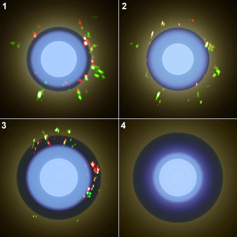 Цикл пульсации S Ori. Светло-голубым цветом показана поверхность звезды. Тёмно-синим выделен молекулярный слой, в котором содержатся частицы оксида алюминия и оксида кремния. Цветные пятна, наложенные на изображение, — это мазерное излучение, зафиксированное радиотелескопами VLBA от 