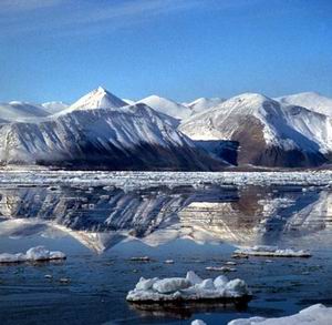 В 2010 году в Арктике появится российский национальный парк