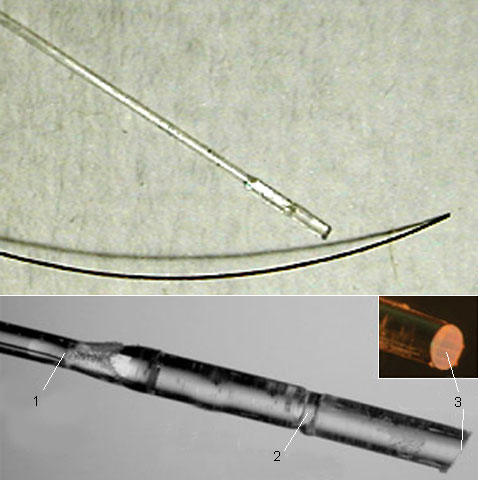 Вверху: эндоскоп OFDI (в верхней части снимка) в сравнении с человеческим волосом (в нижней части). Для эндоскопа используется волокно толщиной от 80 до 250 микрометров. Внизу: наконечник эндоскопа; 1 — оптоволокно, 2 — линза, 3 — дифракционная решётка (иллюстрация D. Yelin et al.).