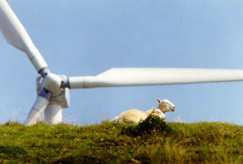 Ветряки стали привычной деталью многих сельских пейзажей Британии…(фото с сайта bwea.com).