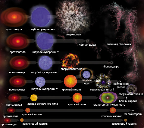 
Натан Смит и его коллеги подготовили вот такую схему эволюции звёзд в зависимости от массы. Главное изменение, которое они в ней сделали – добавили на самый верх особо крупных голубых гигантов, которые превращаются в сверхновую, а не в чёрную дыру (иллюстрация NASA/CXC/M.Weiss).