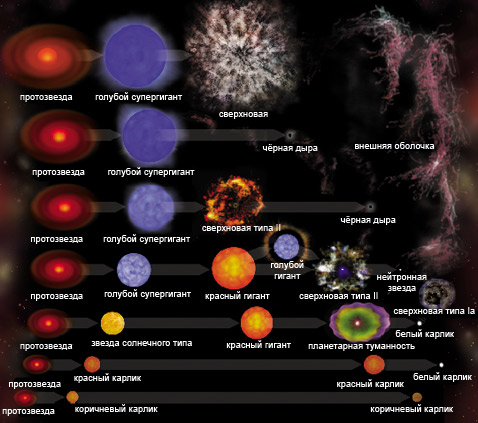 
Натан Смит и его коллеги подготовили вот такую схему эволюции звёзд в зависимости от массы. Главное изменение, которое они в ней сделали – добавили на самый верх особо крупных голубых гигантов, которые превращаются в сверхновую, а не в чёрную дыру (иллюстрация NASA/CXC/M.Weiss).