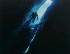 Аквалангист покидает Дьявольскую дыру, пересчитав оставшихся в живых рыбок. Результат неутешителен (фото Tom Jaskulski).