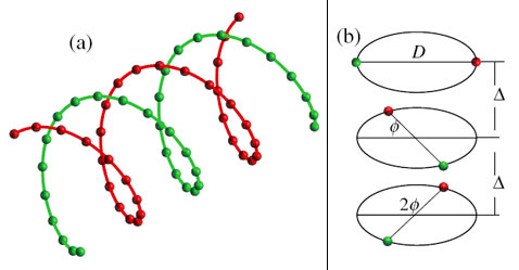 Модель взаимодействия двух спиральных плазменных кристаллов. В этом расположении они действительно очень напоминают двойную спираль ДНК (иллюстрация Tsytovich V.N. et al.).