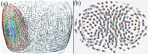 О том, насколько данные компьютерной модели могут расходиться с реальными, можно судить по этим изображениям. (a) — картина, полученная при воспроизведении расположения частиц в пространстве, (b) — картина, полученная при моделировании в данном исследовании. К слову, одним из естественных препятствий для формирования правильных структур в природной пылевой плазме явлется неравномерность пылевых частиц в отличие от идеальных пылинок, смоделированных компьютером (иллюстрация Tsytovich V.N. et al.).