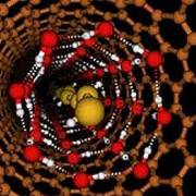 Оранжевый цвет - углеродная нанотрубка, жёлтый - отдельная цепочка водорода, красный и белый - экзотическая водяная оболочка (иллюстрация с сайта sciencedaily.com).