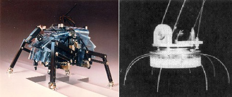 TITAN-III и его подошва с пружинящими волосками-сенсорами. Модель весит 80 килограммов, а длина лап составляет 1,2 метра (фото с сайта www-robot.mes.titech.ac.jp).