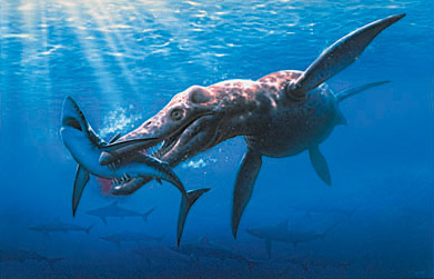 Плиозавр пожирает акулу.
Иллюстрация сделана с помощью компьютерного моделирования.