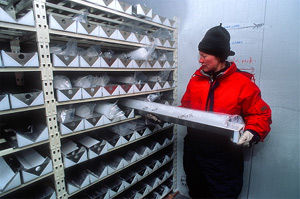 Керны льда помещают во временное хранилище на куполе «С». Кусочки льда поедут в Европу для дальнейшего анализа, но большая часть керна будет храниться на станции в Антарктиде (фото с сайта www.gdargaud.net)