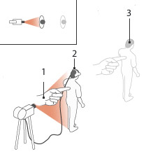 Швейцарский опыт номер 1. 1 — физический контакт, 2 — испытуемый, 3 — виртуальный двойник. На врезке — вид сверху (иллюстрация Science). 