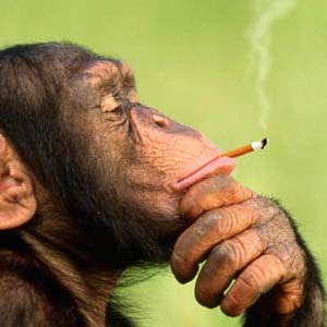 Курение приводит к слабоумию