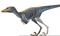 Найден маленький птицеподобный динозавр