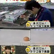 Сырое яйцо отправляют в полёт с крыши здания. Оно приземляется без малейших повреждений (кадры с сайта japanprobe.com).
