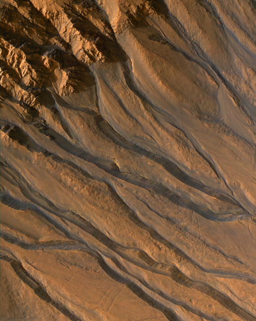 Овраги на внутреннем склоне одного из кратеров Марса, отснятые MRO (фото NASA/JPL/University of Arizona).