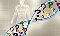 Найден человеческий ген продления жизни на диете