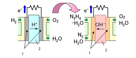 На этом рисунке компания поясняет главную разницу между традиционными топливными элементами (слева) и элементом с анионообменной мембраной (справа). 1 — электроды; 2 — мембрана (иллюстрация Daihatsu).