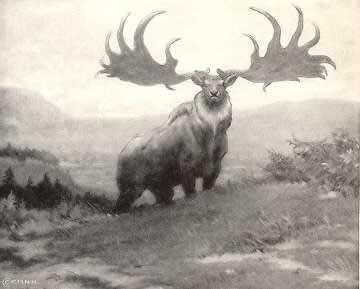 Ирладский или большерогий олень (Irish Elk) (вымер около 7 700 лет назад)