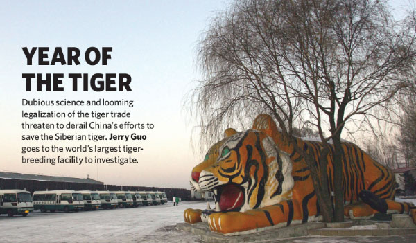 Вход в «Тигровый парк» в Хэндаохэцзы около Харбина (Китай). Этим снимком открывается статья Джерри Гуо «Год тигра» в журнале Nature. Подзаголовок гласит: «Сомнительная наука и проглядывающая легализация «тигровой» торговли угрожает свести на нет усилия Китая по сохранению амурского тигра. Джерри Гуо посетил крупнейший центр по разведению тигров».