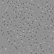 Белыми и чёрными крестиками обозначены места расположения пор, зафиксированные на двух различных отпечатках одного и того же пальца. Серыми крестиками показаны совпадающие точки (иллюстрация N.R. Parsons et al.).