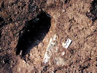 След доисторического человека на склоне вулкана Роккамонфина. Фото с сайта nature.com