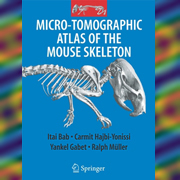 В атласе содержится около двухсот снимков, показывающих ранее неизвестные детали внешнего и внутреннего стрения костей мышей. Кроме того, часть издания освещает особенности строения скелетов мышей, отличающихся по полу и возрасту. Книга опубликована издательством Springer (иллюстрация с сайта media.huji.ac.il).
