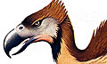 Фороракосы - птицы ужаса