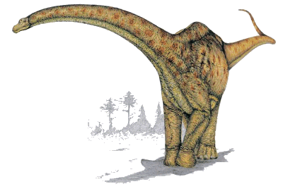 Обнаружен новый гигантский вид динозавра