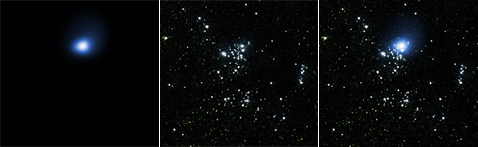 Снимки участка M33 X-7 в рентгеновском (слева) и в оптическом (в центре) диапазонах. Справа — совмещённое изображение (фото NASA/CXC/CfA/STScI/SDSU/J.Orosz, P.Plucinsky et al).