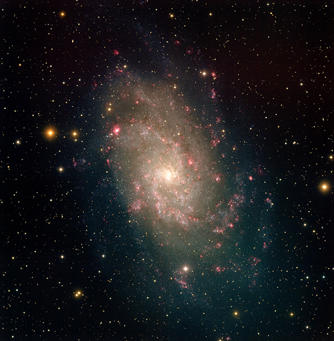 Галактика Треугольник, где так долго и безуспешно на пару с крупной звездой пряталась от телескопов землян массивная звёздная чёрная дыра. Эта галактика принадлежит к так называемой Локальной группе галактик, к которой относится и Млечный Путь (фото NOAO/AURA/NSF/T.A.Rector).