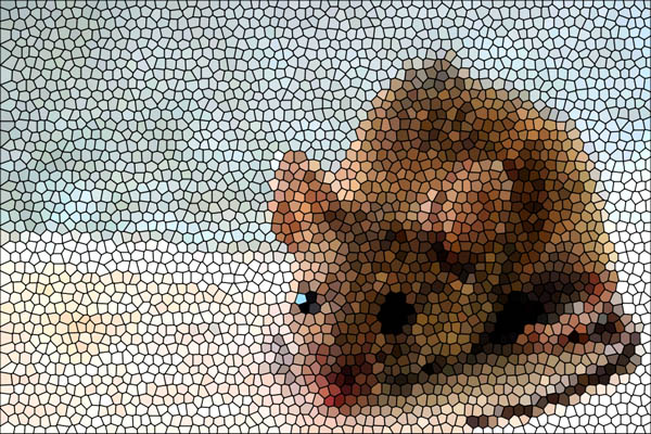 «Мозаичная» мышь является носителем как нормального гена, так и исследуемого — целевого гена или же «нокаутного», если ген был дезактивирован. По фотографии (Creative Commons license) Jesus Solana.