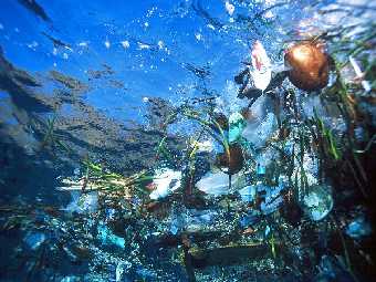 Пластик в океане. Фото с сайта environmentdebate.wordpress.com.  