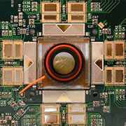 Экспериментальный чип с решёткой из 512 электродов (золотой кружок в центре) используется в лабораторных опытах по считыванию сигналов нервных клеток (фото Alan Litke).
