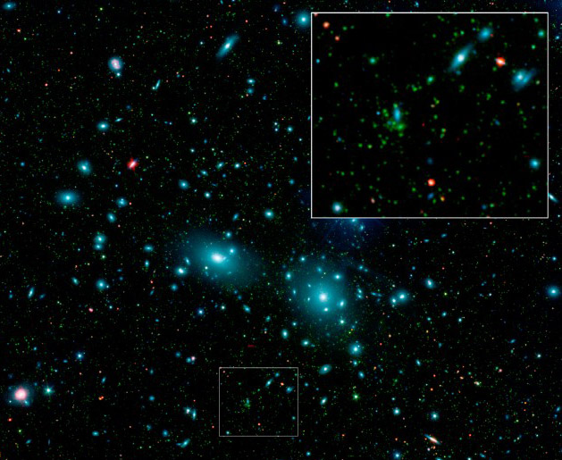 Карликовые галактики в скоплении Кома