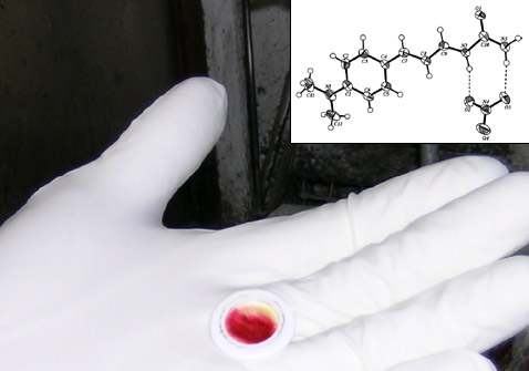 Когда аэрозоль наносят на чистый тампон, он (аэрозоль) окрашивает его в жёлтый цвет (на фото под заголовком). Если же на тампоне находятся даже небольшие количества нитрата мочевины, то он становится ярко-красным. На врезке: взаимодействие молекул нитрата мочевины (справа внизу) и вещества аэрозоля. Эти данные были получены учёными совсем недавно в ходе рентгеноструктурного кристаллографического исследования (фото и иллюстрация с сайта wired.com).