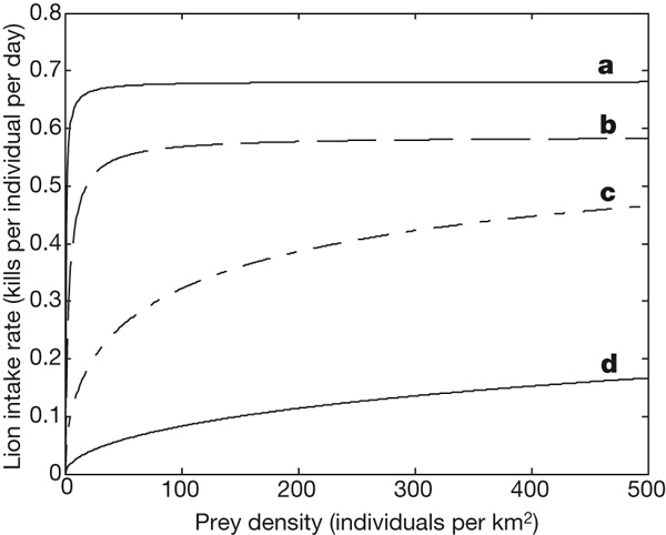 Интенсивность поедания львами антилоп гну в зависимости от плотности популяции жертв при групповом и одиночном образе жизни (модельные предсказания). По вертикальной оси: число антилоп, убиваемых одним львом в сутки; по горизонтальной оси: число антилоп на 1 км2. a — хищники и жертвы ведут одиночный образ жизни, b — хищники живут группами, c — жертвы живут группами, d — и хищники, и жертвы ведут групповой образ жизни. Кривая d лучше всего соответствует фактическим данным. Рис. из обсуждаемой статьи в Nature.