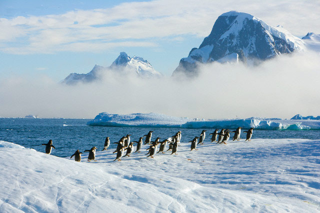 Антарктика находится на грани катастрофы