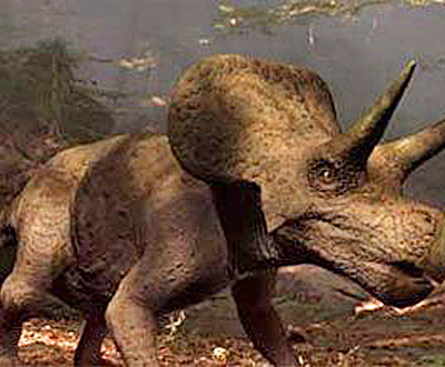 Палеонтологи обнаружили неизвестных рогатых динозавров